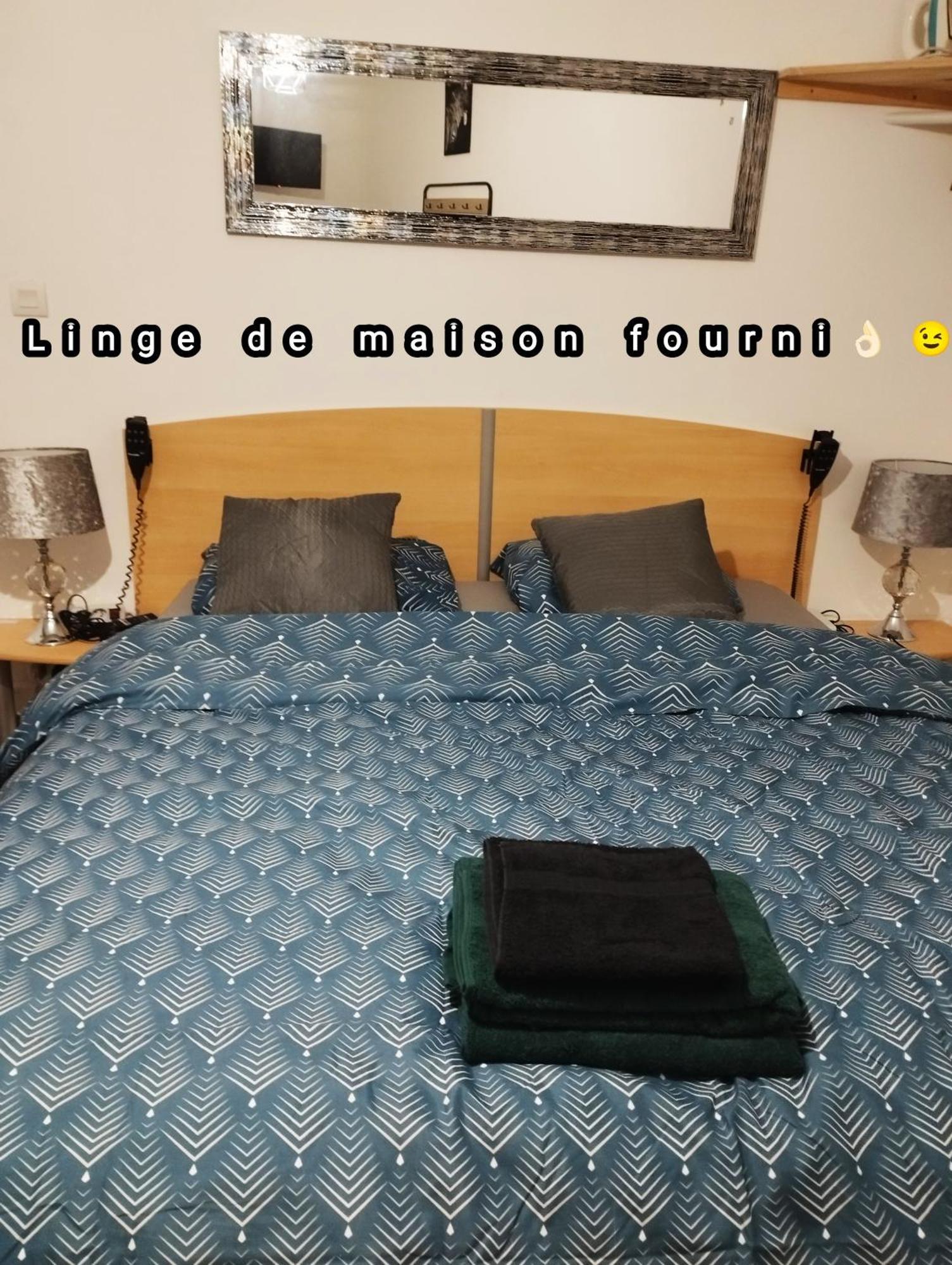 Appartement Avec Cour Plein Centre Фуа Екстер'єр фото